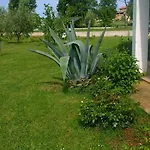 Appartement Natasa *