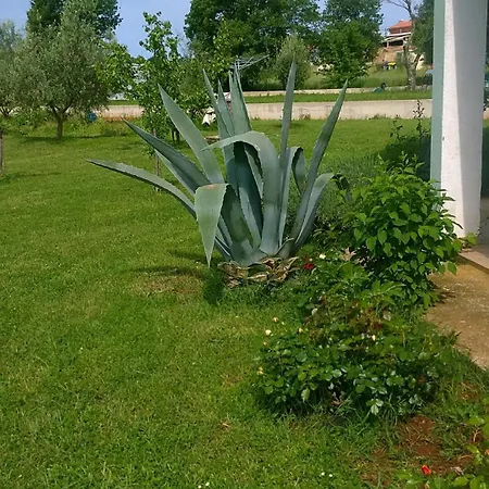 Apartman Natasa *