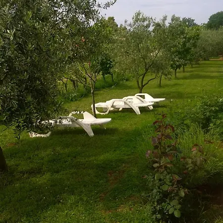 Natasa Apartman