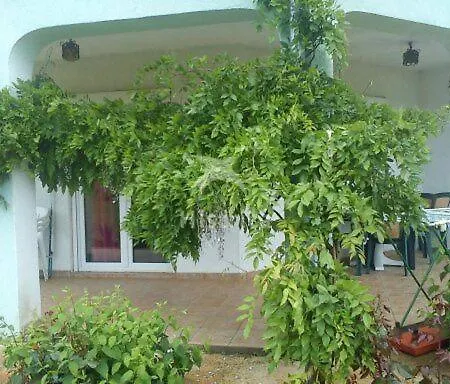 Apartman Natasa *