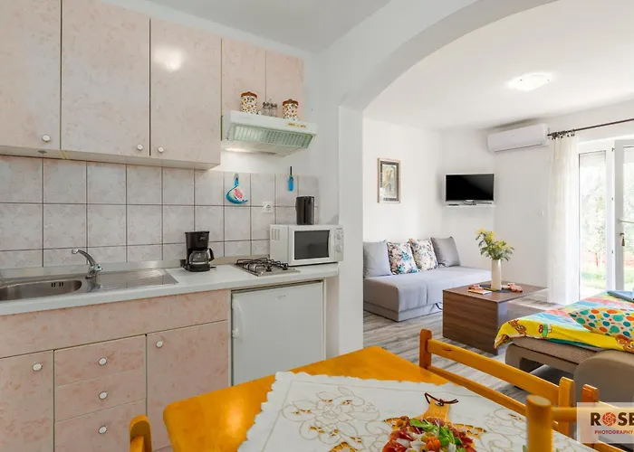 Natasa 아파트 브르사르