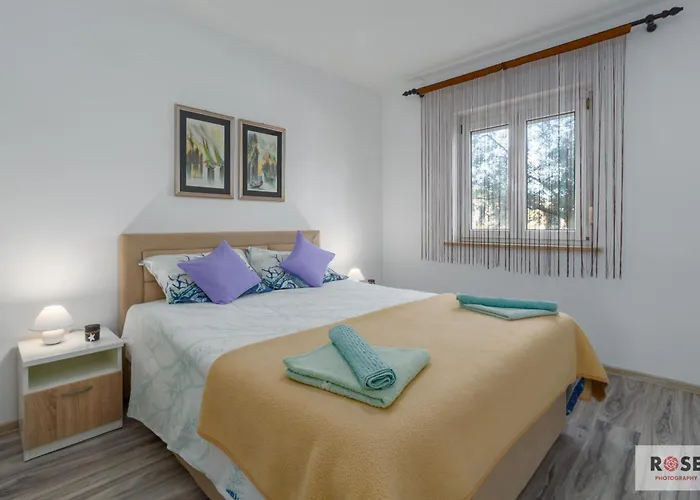 Apartment Natasa Vrsar