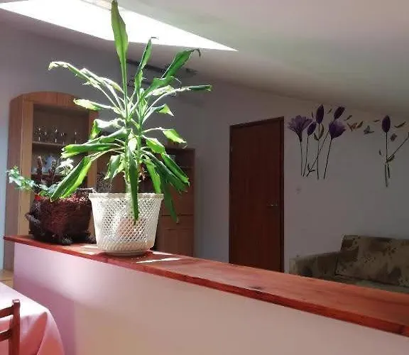 Apartment Natasa Vrsar