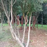 Apartman Natasa *