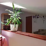 Apartman Natasa Vrsar
